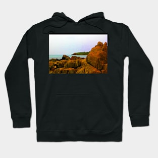 Coastal saturated Hoodie